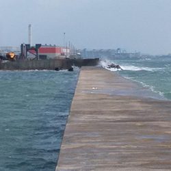 まだ釣れる播磨新島のキス