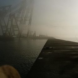 播磨新島赤灯台波止へキス釣査