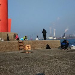 播磨新島のキス釣査