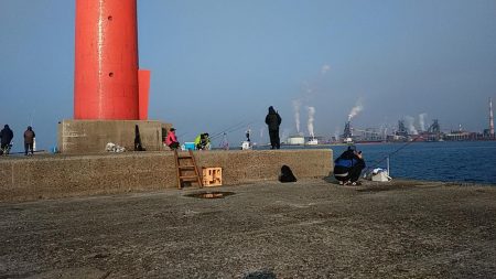 播磨新島のキス釣査