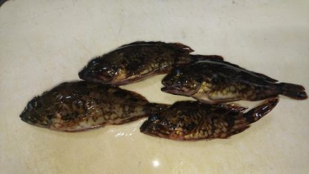 初釣りはめでたい