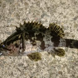 サイズが小さい