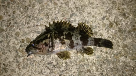 サイズが小さい