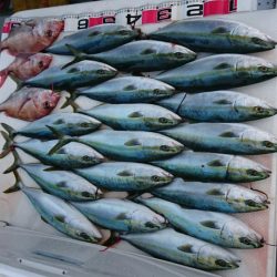 鳴門ジギング釣行