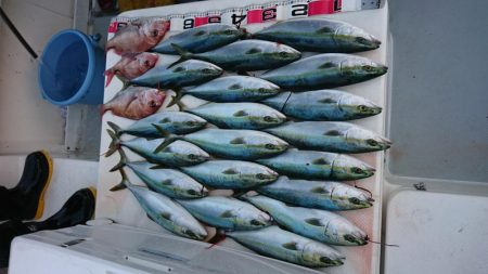 鳴門ジギング釣行