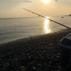 釣れるといいなぁ！！アコウッ！！！