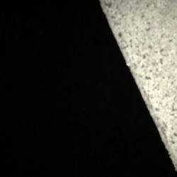 帰り際になんとか