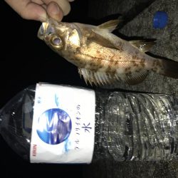 過去最高のメバリング