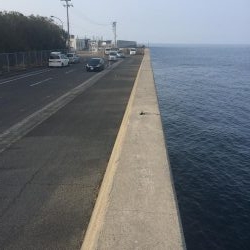 新居浜菊本護岸にてルアー釣り