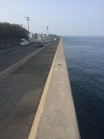 新居浜菊本護岸にてルアー釣り