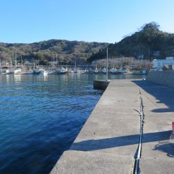 新年初釣りは不発