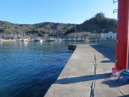 新年初釣りは不発