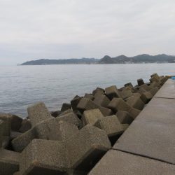 想定外の雨天釣行