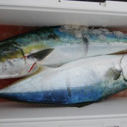 第二美丸　ブリ狙いで初出港