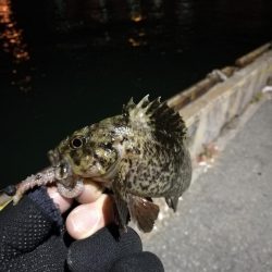 かもめ大橋＆フェリーターミナル