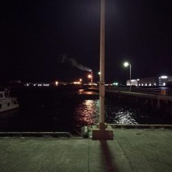 爆風のヘチ釣りin大阪フェリーターミナル(笑)