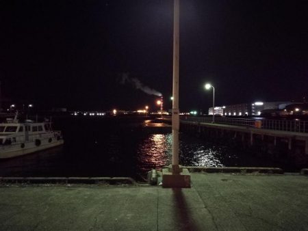 爆風のヘチ釣りin大阪フェリーターミナル(笑)