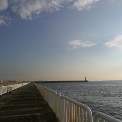 ヘチ釣りin南港海釣り公園　～久々の南港釣り公園