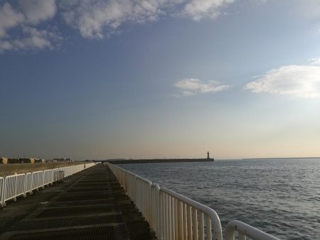 ヘチ釣りin南港海釣り公園　～久々の南港釣り公園