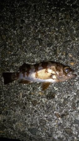 ライトゲームランガン