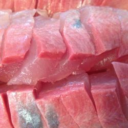 初物ハマちゃん