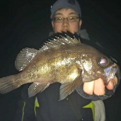 深夜のメバリング