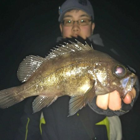 深夜のメバリング