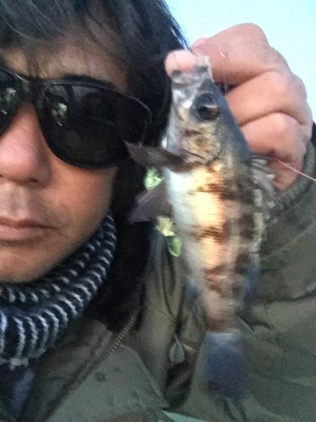 ふれーゆ裏の釣り場へ行ってきました。