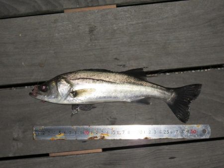 爆風に耐える！