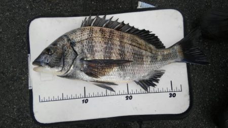 過去最高アベレージ