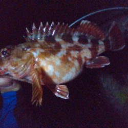 満足の釣り納め