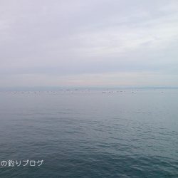 初釣りは小チヌゲット！