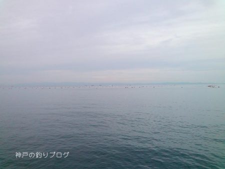 初釣りは小チヌゲット！