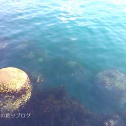 極寒のチヌ釣り