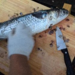 夜中に初めての港で釣行