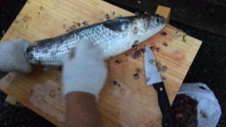 夜中に初めての港で釣行