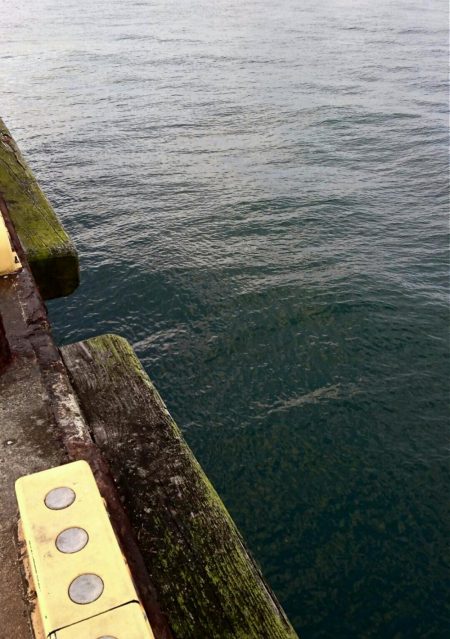 ◯やっとフィッシュオン