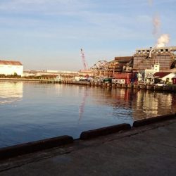 ⚫年明け湾奥タチウオ