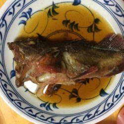 冬の釣り