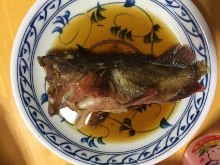 冬の釣り