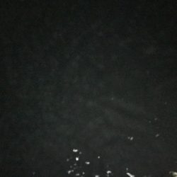 帰り際になんとか