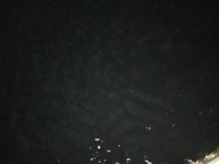 帰り際になんとか