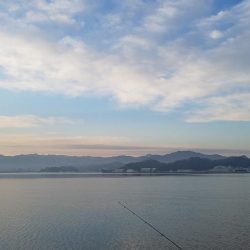 カレイを求めて