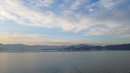 カレイを求めて