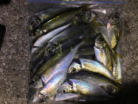 月と干潮で撃沈…からの〜