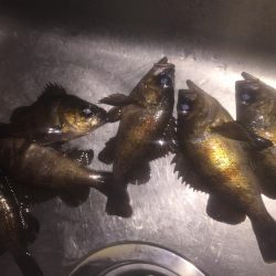 寒波襲来の前に！