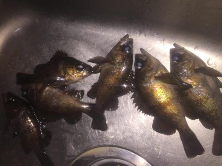 寒波襲来の前に！