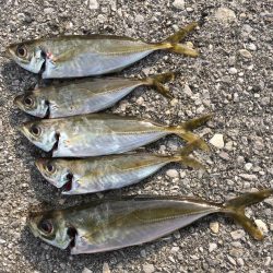 デイ・アジング