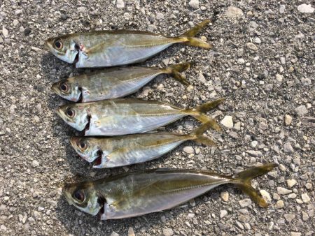 デイ・アジング