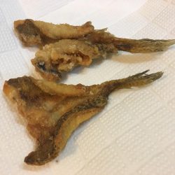 冬のフェリーターミナルにて